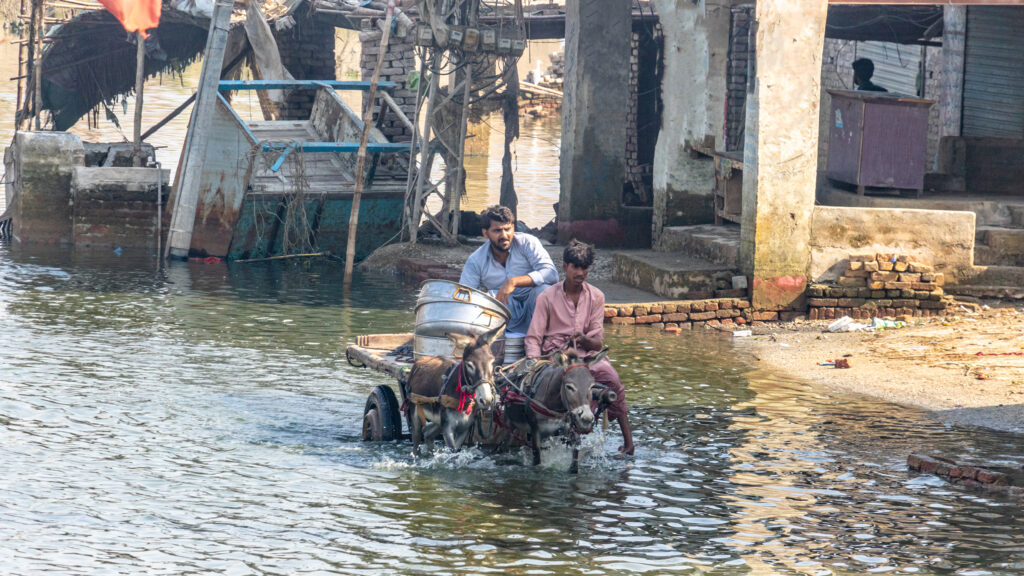 Pakistan flood kills 900; Trans partner of Kirk’s killer “hates conservatives and Christians”; Teen reeled in 177-pound Atlantic Halibut