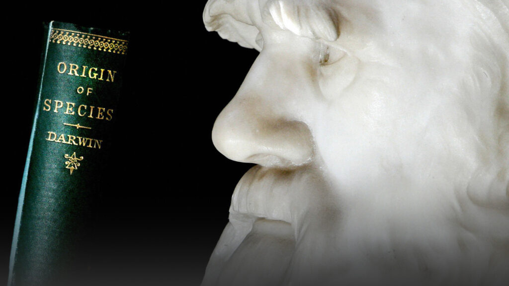 Butler Bill, which prohibited teaching evolution, signed into law; Armed man rammed truck into Michigan synagogue; Congress hopes to Safeguard Women from Chemical Abortion