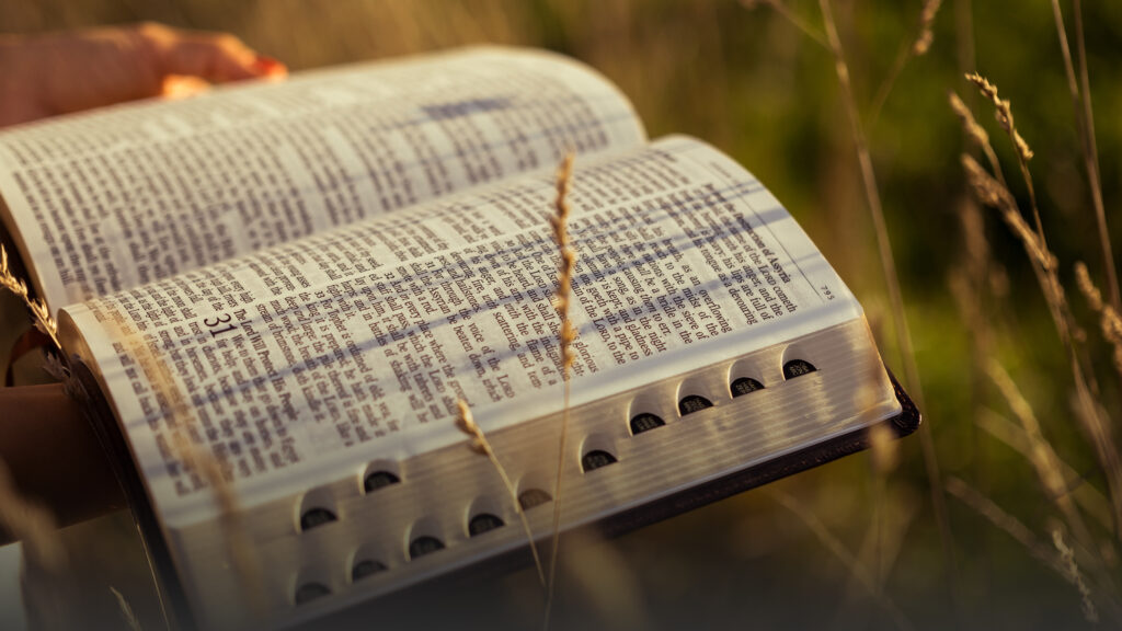 More than 500 million Christians face restricted access to the Bible, Euthanasia cases in Belgium doubled in last five years, More details emerging from the shooting in Bend, Oregon